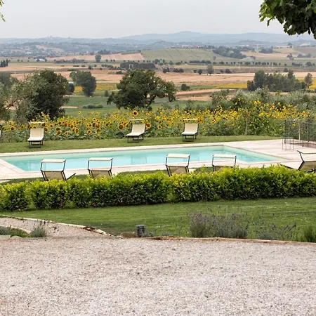 Milluzzi Cortona